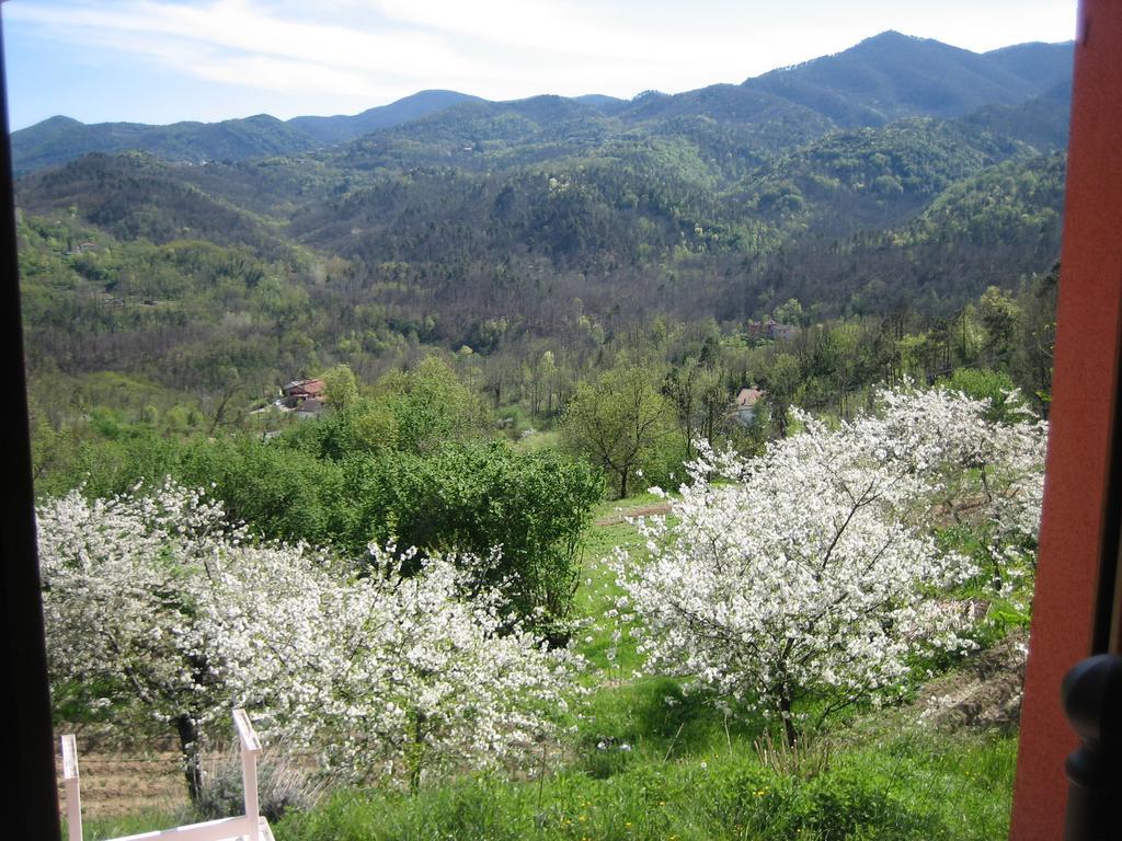 Agriturismo Casalino Beverino Exterior photo